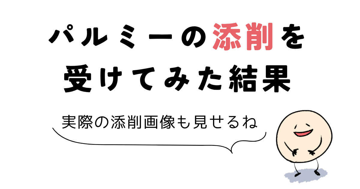 パルミー 評判 パルミーの添削を受けてみた結果
